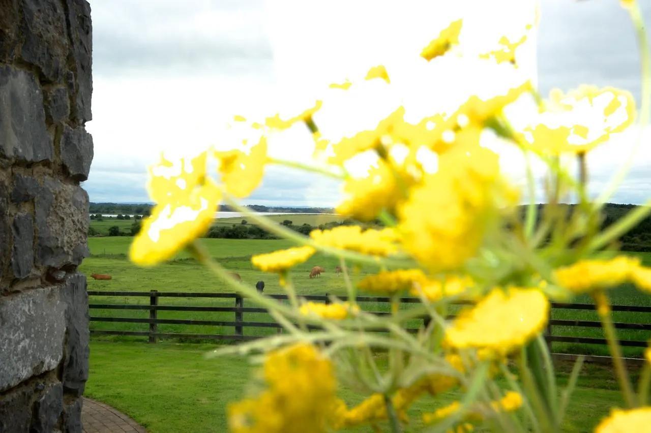 Bunratty Meadows Bed & Breakfast